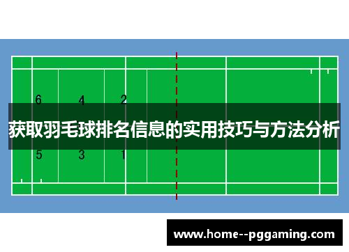 获取羽毛球排名信息的实用技巧与方法分析 获取羽毛球排名信息的实用技巧与方法分析