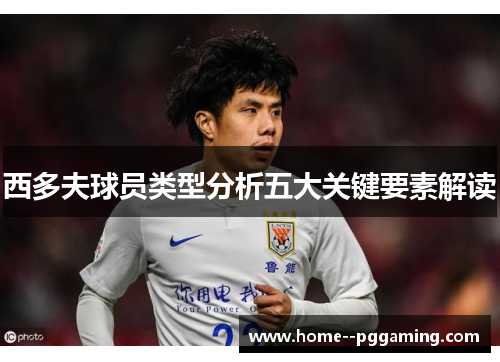 西多夫球员类型分析五大关键要素解读 西多夫球员类型分析五大关键要素解读