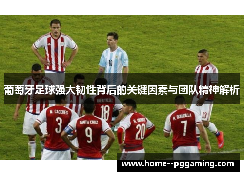 葡萄牙足球强大韧性背后的关键因素与团队精神解析