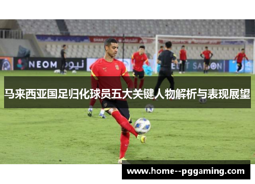 马来西亚国足归化球员五大关键人物解析与表现展望