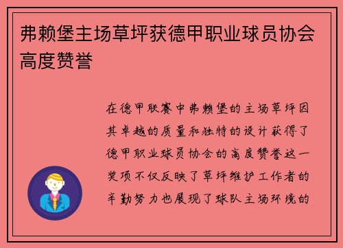 弗赖堡主场草坪获德甲职业球员协会高度赞誉
